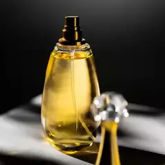 J'AD*RE 100ML - comprar online