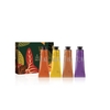 Set EKOS x4 - 40grs C/U - NATURA