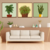 Kit Plantas - comprar online