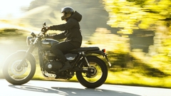 Corta-Vento Bush Pilot - loja online