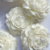 Imagen de Vela con Plato Peonia