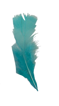 Plumas De Gallo Grande en internet