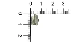 Pirañas - comprar online