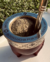 Mate imperial grabado - comprar online