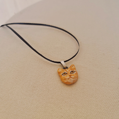 Dije Leo en internet