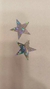 lentejuela Estrella x25 grs - tienda online