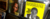 Imagem do banner rotativo 6