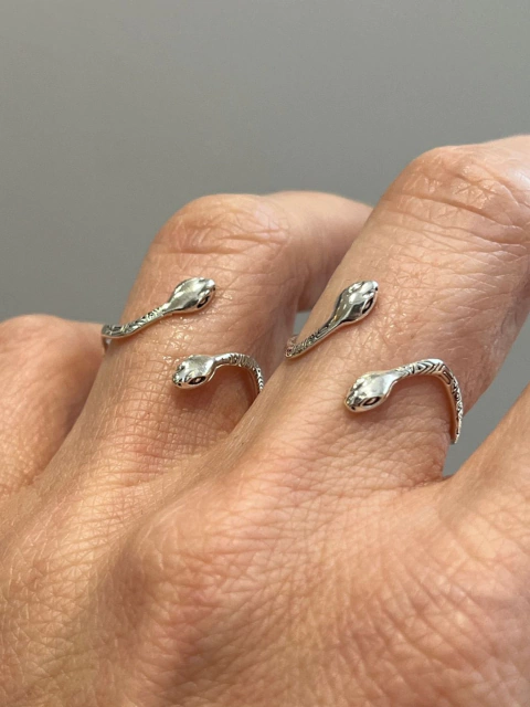 Anillo Snake