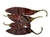 CHILE GUAJILLO SECO