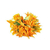 FLOR DE CALABAZA