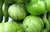 TOMATE VERDE CON CASCARA