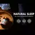 Natural Sleep 60 Cápsulas - Nutrify na internet