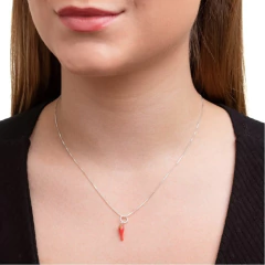 Colar de prata 925 com pingente em forma de pimenta, exibido em uma modelo.