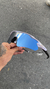Radar EV Gray Liquid Metal (2x1)