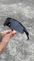 Imagem do Radar EV Allblack