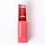 LIP TINT GLOSS LABIAL na internet