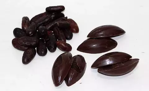 AMÊNDOA DO CACAU COM CHOCOLATE MEIO AMARGO