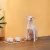 COMEDOURO DE CERÂMICA COM BASE DE BAMBU PARA PETS - comprar online