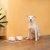 COMEDOURO DE CERÂMICA COM BASE DE BAMBU PARA PETS na internet