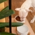 Imagem do COMEDOURO DE CERÂMICA COM BASE DE BAMBU PARA PETS