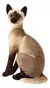 GATO REALISTA PELÚCIA - comprar online