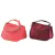 Bolsa Térmica Almoço Lanche Colorida Sun Way Gleam 22x13CM - loja online