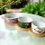 Pestiqueira Natalina Circular 3 BOWL 4PC 35 cm em Bambu e Cerâmica - Le Casa Home & Decor