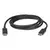 Cable Display Port A Display Port 1.8m Intco