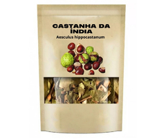 CASTANHA DA INDIA FRUTO