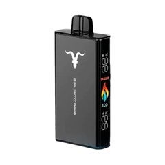 IGNITE V250 25000 Puff USB-C Recargable - Juice Grow Shop