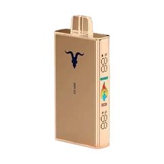 Imagen de IGNITE V250 25000 Puff USB-C Recargable