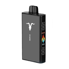 IGNITE V250 25000 Puff USB-C Recargable - tienda online