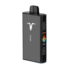IGNITE V250 25000 Puff USB-C Recargable en internet
