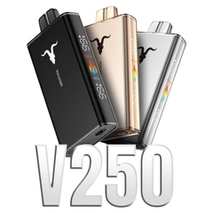 IGNITE V250 25000 Puff USB-C Recargable