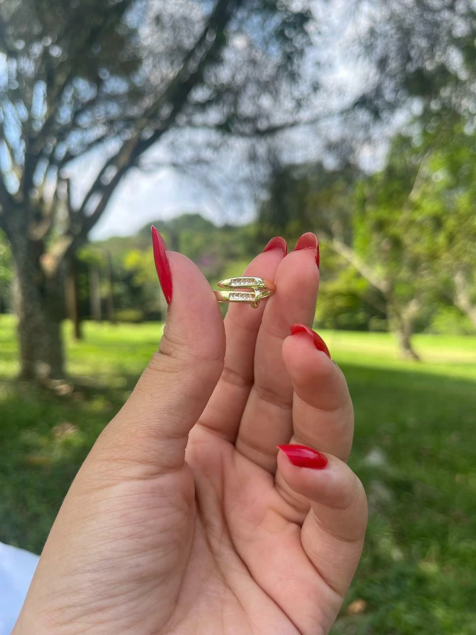 Anel Prego com Pedras