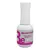 KIT FRASCESINHA HELEN COLOR - comprar online