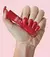 ESMALTE CREMOSO DAILUS - RED VELVET - comprar online