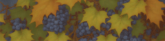 Banner da categoria Carménère 