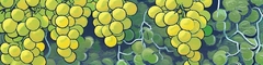 Banner da categoria Chardonnay