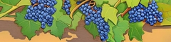Banner da categoria Pinot Noir