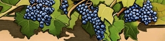 Banner da categoria Syrah