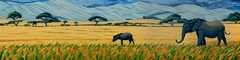 Banner da categoria África do Sul 