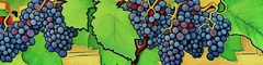 Banner da categoria Petit Verdot