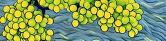 Banner da categoria Pinot Grigio