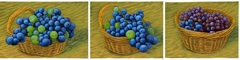 Banner da categoria Uvas