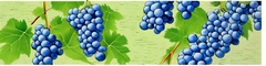 Banner da categoria Tempranillo