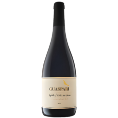 Guaspari Syrah Vista da Serra