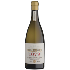 Stellenbosch 1679 Bush Vine Chenin Blanc