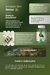 COMBO Amazon DETOX Slim + Amazon Slim GREEN na internet