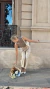 Imagen de PANT ICON